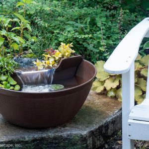 AquaGarden Mini Pond Kit