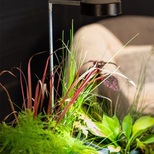 AquaGarden Plant Light